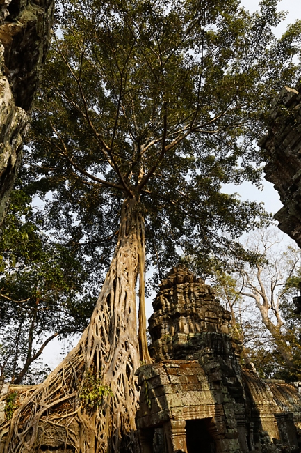 Ta Phrom et environs-089